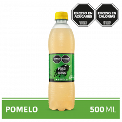 GASEOSAS PASO DE LOS TOROS...