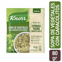 SOPA CASERA KNORR VEG...