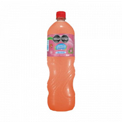 AGUA SABORIZADA SIERRA DE...